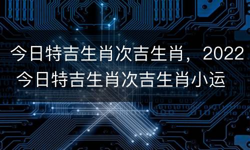今日特吉生肖次吉生肖，2022 今日特吉生肖次吉生肖小运