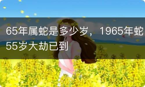 65年属蛇是多少岁，1965年蛇55岁大劫已到
