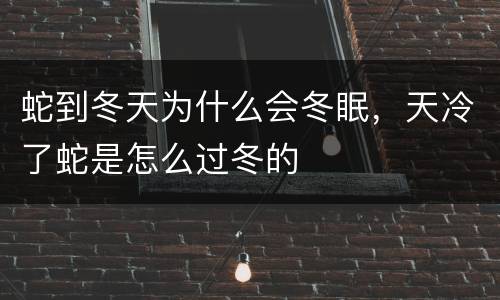 蛇到冬天为什么会冬眠，天冷了蛇是怎么过冬的