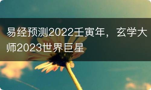 易经预测2022壬寅年，玄学大师2023世界巨星