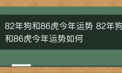82年狗和86虎今年运势 82年狗和86虎今年运势如何
