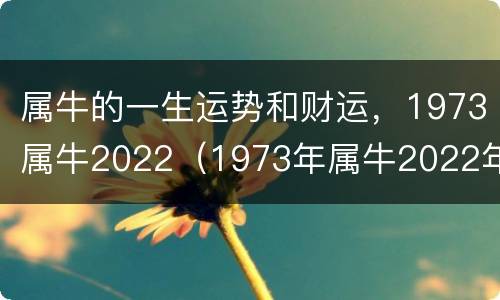 属牛的一生运势和财运，1973属牛2022（1973年属牛2022年运势及运程男性）