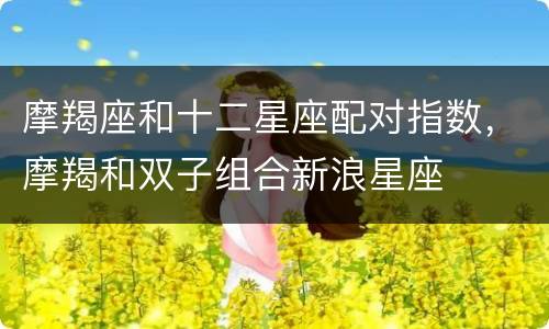 摩羯座和十二星座配对指数，摩羯和双子组合新浪星座