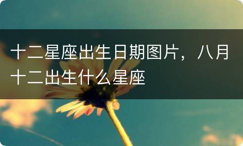 十二星座出生日期图片，八月十二出生什么星座