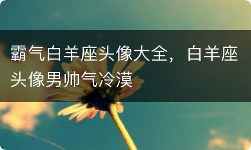霸气白羊座头像大全，白羊座头像男帅气冷漠