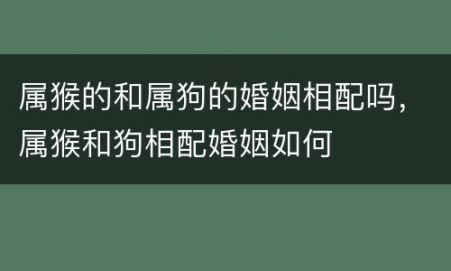 属猴的和属狗的婚姻相配吗，属猴和狗相配婚姻如何