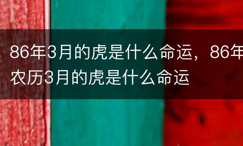 86年3月的虎是什么命运，86年农历3月的虎是什么命运