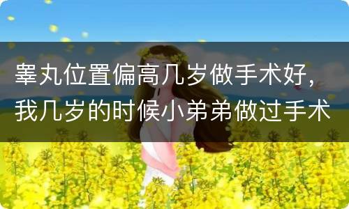 睾丸位置偏高几岁做手术好，我几岁的时候小弟弟做过手术~!因为睾丸上移~