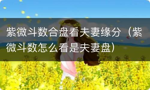 紫微斗数合盘看夫妻缘分（紫微斗数怎么看是夫妻盘）
