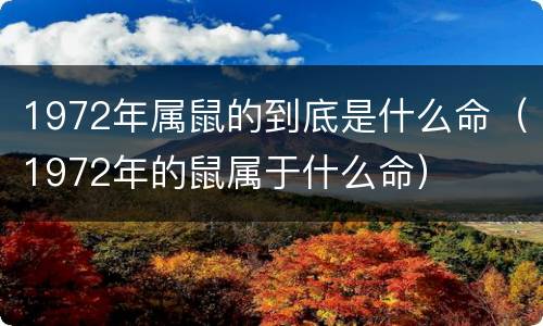 1972年属鼠的到底是什么命（1972年的鼠属于什么命）