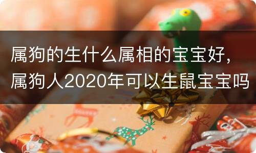 属狗的生什么属相的宝宝好，属狗人2020年可以生鼠宝宝吗，哪
