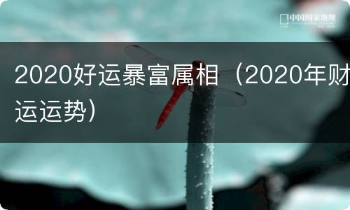 2020好运暴富属相（2020年财运运势）