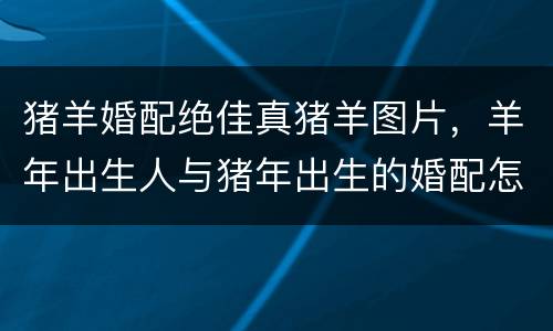 猪羊婚配绝佳真猪羊图片，羊年出生人与猪年出生的婚配怎么样