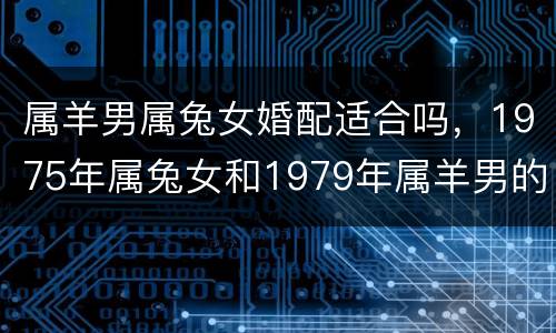 属羊男属兔女婚配适合吗，1975年属兔女和1979年属羊男的婚配如何？