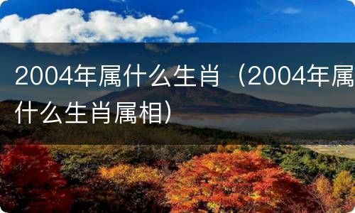 2004年属什么生肖（2004年属什么生肖属相）