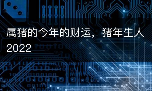 属猪的今年的财运，猪年生人2022
