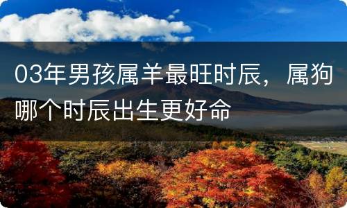 03年男孩属羊最旺时辰，属狗哪个时辰出生更好命