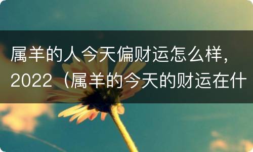 属羊的人今天偏财运怎么样，2022（属羊的今天的财运在什么方向）