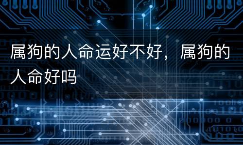 属狗的人命运好不好，属狗的人命好吗
