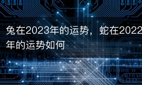 兔在2023年的运势，蛇在2022年的运势如何