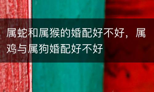 属蛇和属猴的婚配好不好，属鸡与属狗婚配好不好