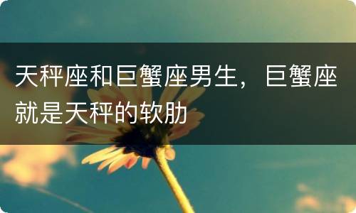 天秤座和巨蟹座男生，巨蟹座就是天秤的软肋