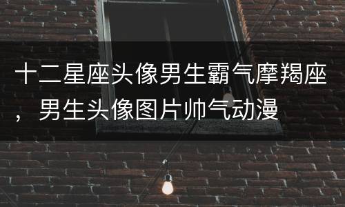 十二星座头像男生霸气摩羯座，男生头像图片帅气动漫