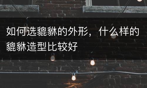 如何选貔貅的外形，什么样的貔貅造型比较好
