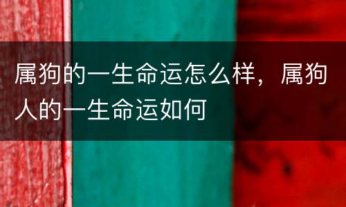 属狗的一生命运怎么样，属狗人的一生命运如何