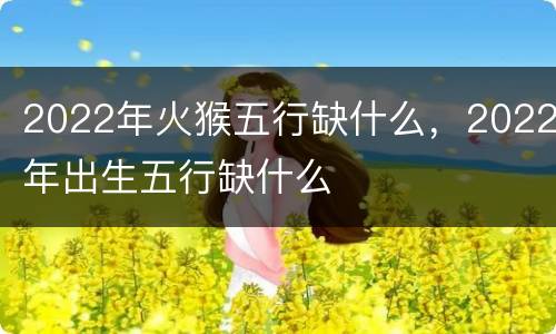 2022年火猴五行缺什么，2022年出生五行缺什么