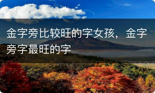 金字旁比较旺的字女孩，金字旁字最旺的字