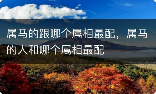 属马的跟哪个属相最配，属马的人和哪个属相最配
