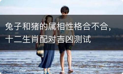 兔子和猪的属相性格合不合，十二生肖配对吉凶测试