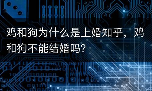 鸡和狗为什么是上婚知乎，鸡和狗不能结婚吗？