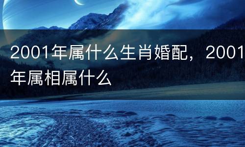 2001年属什么生肖婚配，2001年属相属什么