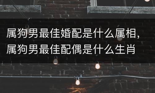 属狗男最佳婚配是什么属相，属狗男最佳配偶是什么生肖