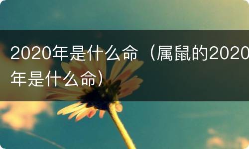 2020年是什么命（属鼠的2020年是什么命）