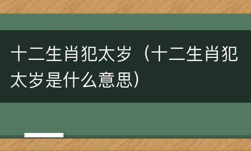 十二生肖犯太岁（十二生肖犯太岁是什么意思）