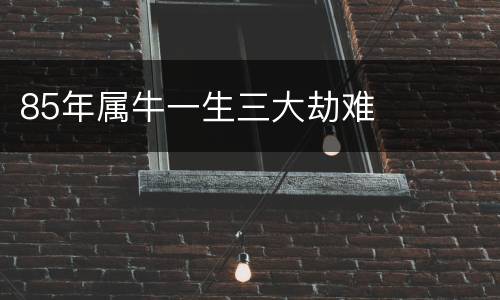 85年属牛一生三大劫难