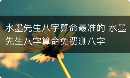 水墨先生八字算命最准的 水墨先生八字算命免费测八字