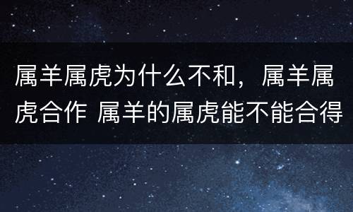 属羊属虎为什么不和，属羊属虎合作 属羊的属虎能不能合得来