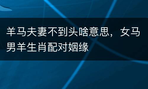 羊马夫妻不到头啥意思，女马男羊生肖配对姻缘