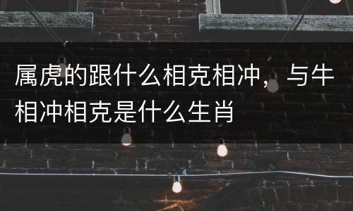 属虎的跟什么相克相冲，与牛相冲相克是什么生肖