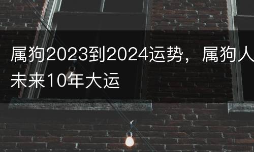 属狗2023到2024运势，属狗人未来10年大运