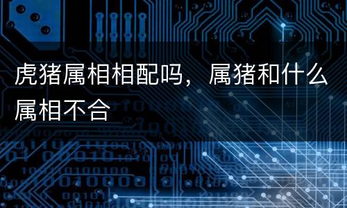 虎猪属相相配吗，属猪和什么属相不合