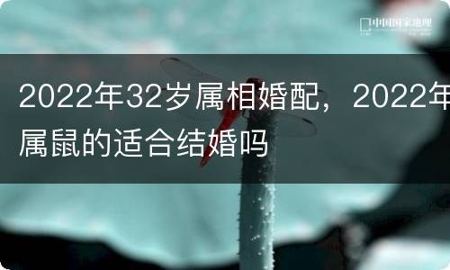 2022年32岁属相婚配，2022年属鼠的适合结婚吗