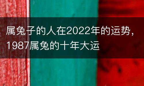 属兔子的人在2022年的运势，1987属兔的十年大运