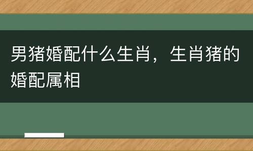 男猪婚配什么生肖，生肖猪的婚配属相