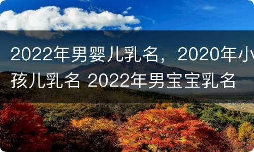 2022年男婴儿乳名，2020年小孩儿乳名 2022年男宝宝乳名
