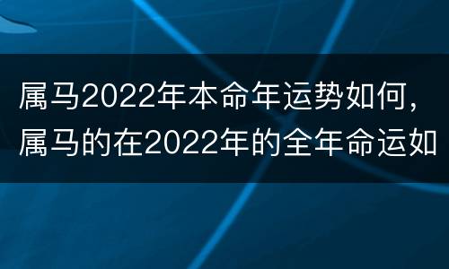 属马2022年本命年运势如何，属马的在2022年的全年命运如何